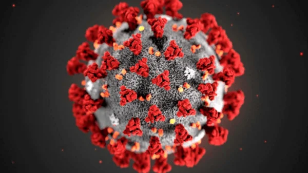 COVID-19 virus