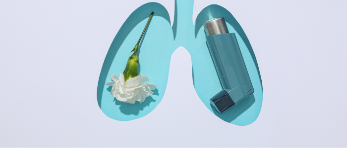 A pair of lungs with an inhaler and a flower inside them.